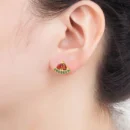 AIBEF Watermelon Shape Cute Fruit Stud Earrings Copper Zircon Women Romantic Jewelry Summer Vacation Accessories Birthday Gift